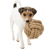 Trixie BE NORDIC Rope Ball Toy for Dogs