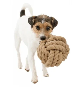 Trixie BE NORDIC Rope Ball Toy for Dogs 1 Trixie BE NORDIC Rope Ball Toy for Dogs