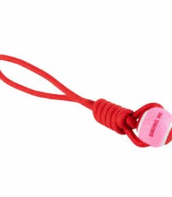Ebi Coockoo Swing Me Ball With Rope Loop Dog Fetch Toy - Red/6x45x6cm